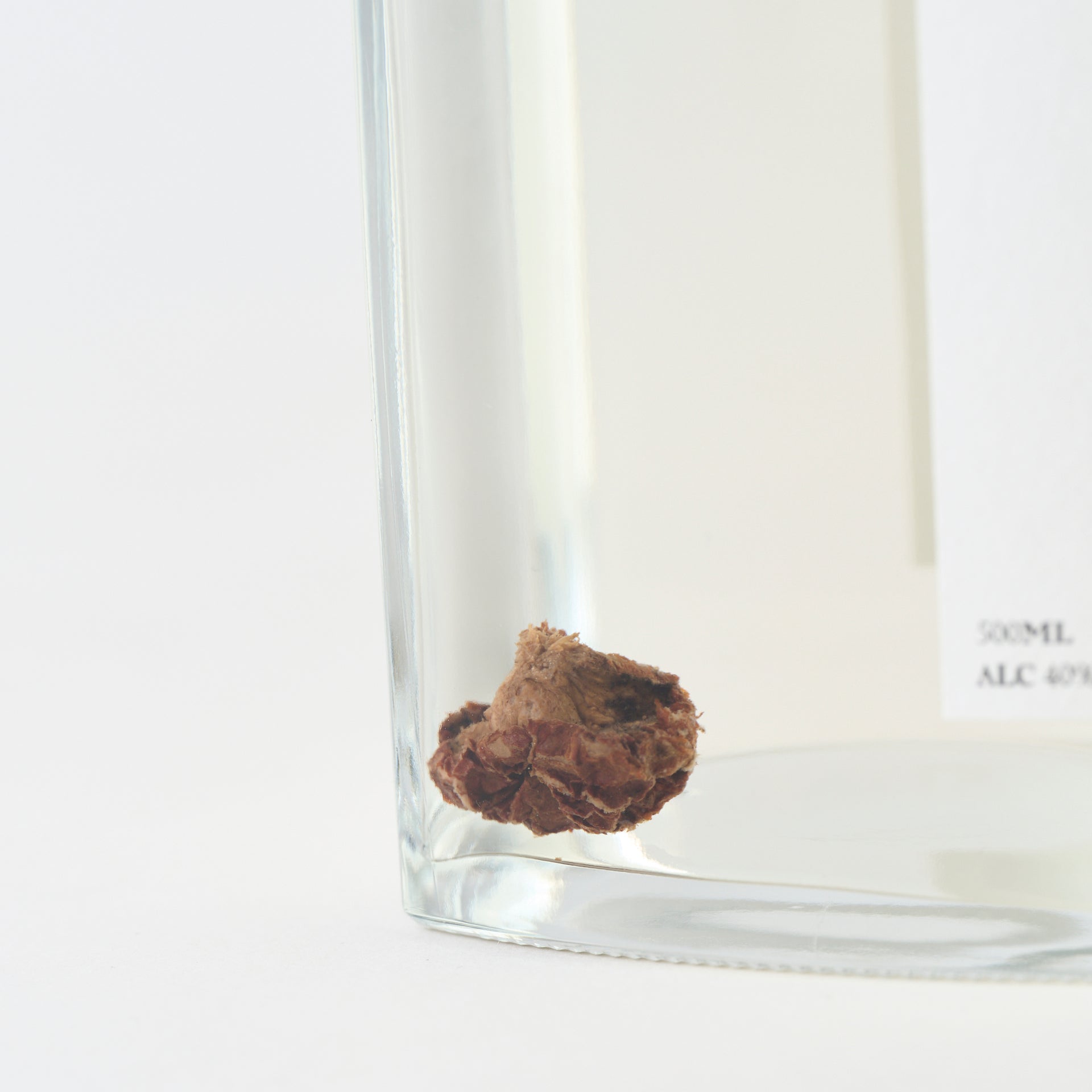 012 Absinthe Matatabi